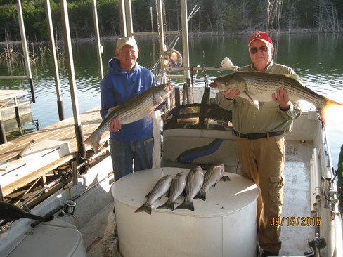 Nice Striped Bass